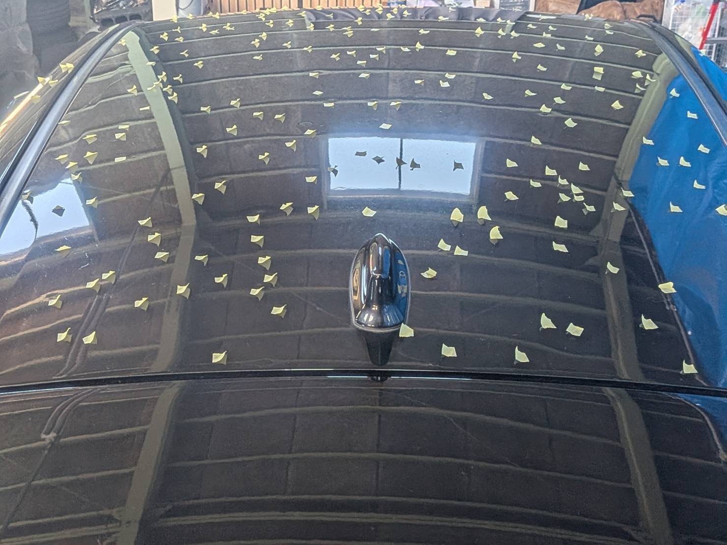 前橋市　雹害車　デントリペア